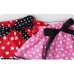 Minnie Mouse Polka Skirt Set - Red 
